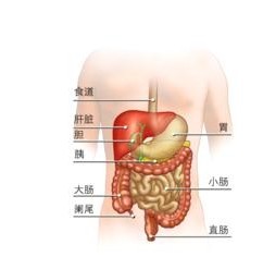 急性直肠炎